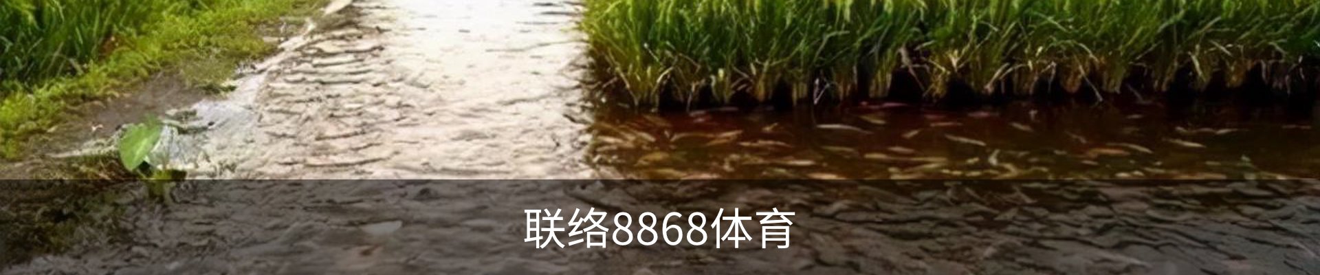 联络8868体育